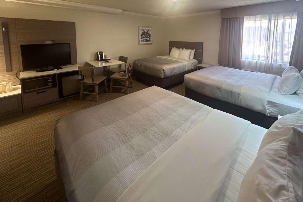 Quality Inn & Suites Los Angeles Airport - LAX
